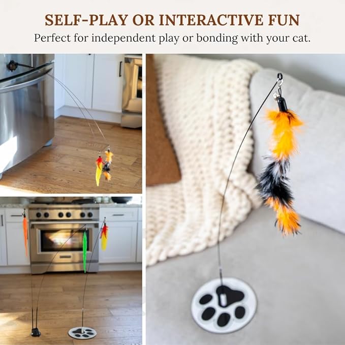 Cat Wand Toy Cat Fishing Pole Toy Cat Feather Toy Suction Cup Cat Toys for Indoor Cats Cat Toys Wand Feather Wand Cat Toy Feather Cat Toy Multisurface Cat Feather Wand Toy Cat Teaser