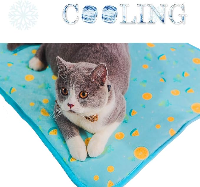 SEIS Dog Ice Pad Ice Silk Cats Kennel Mat Pet Cooling Pad Summer Cool Bamboo Mat Breathable Pad (Blue Fruit, M
