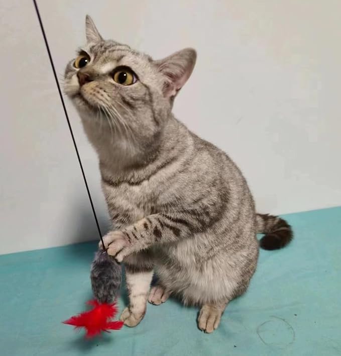 Interactive Cat Toys Hanging Cat Toys for Indoor Cats Kitten Play Chase Exercise with Bell, New Spiral Clamping Teasing Cats Toys for Door Frame (Grey+White)