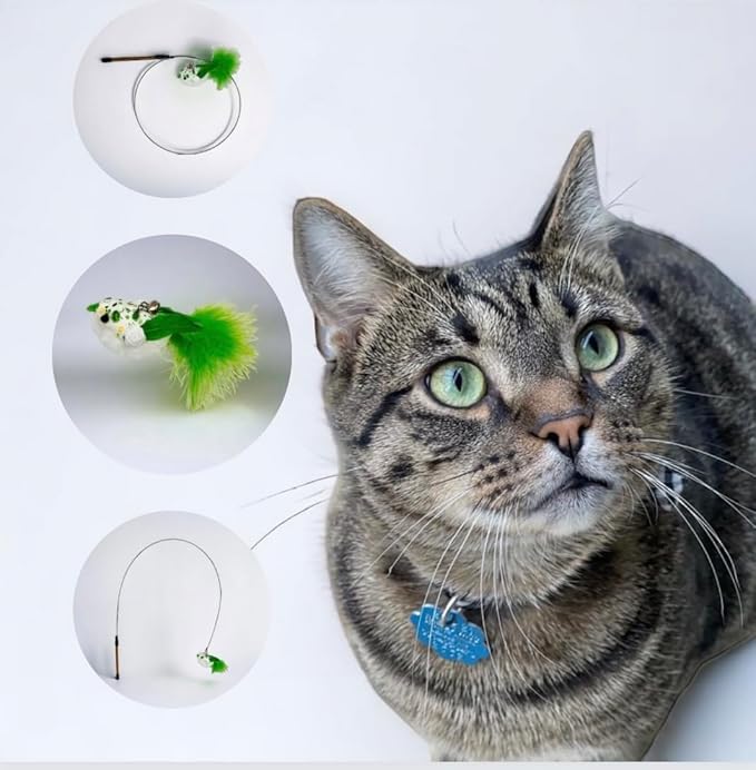 MYSWEETPET Bird cat Toy, cat Toys, cat Toy, Interactive cat Toy, Hanging cat Toy, cat Toys Interactive, Moving cat Toy, Interactive Kitten Toys, Toys for Cats,cat Toy with Feathers