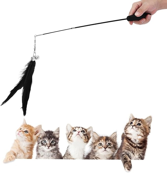 GLOGLOW Interactive Cat Toy, Funny Retractable Cat Wand with Bell for Indoor Cat and Kitten Playing(Black) & Animal Toys