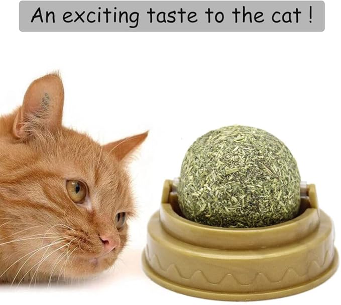 Oncpcare 4 Pack Catnip Balls, Natural Mint Leaf Catnip Balls for Cats Wall Cat Nip Balls Cat Treats Magic Ball for Cat, Kitten, Kitty Playing Chewing