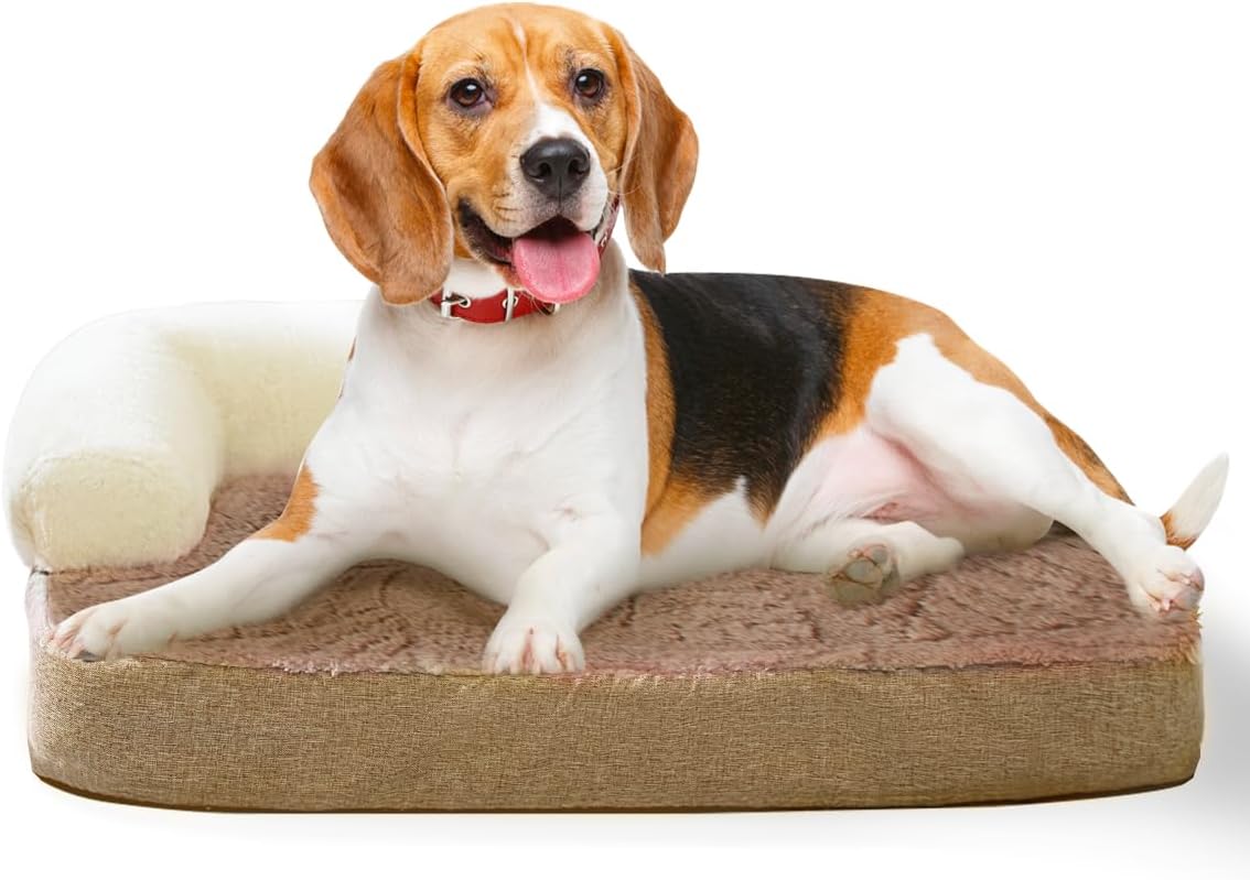 Small Medium Dog Bed, Washable Dog Bed with Removable Cover and Nonskid Bottom, Fuzzy Warm Dog Bed Indoor with Neck Pillow for Dog Cat Sleeping, 30x20 Inches