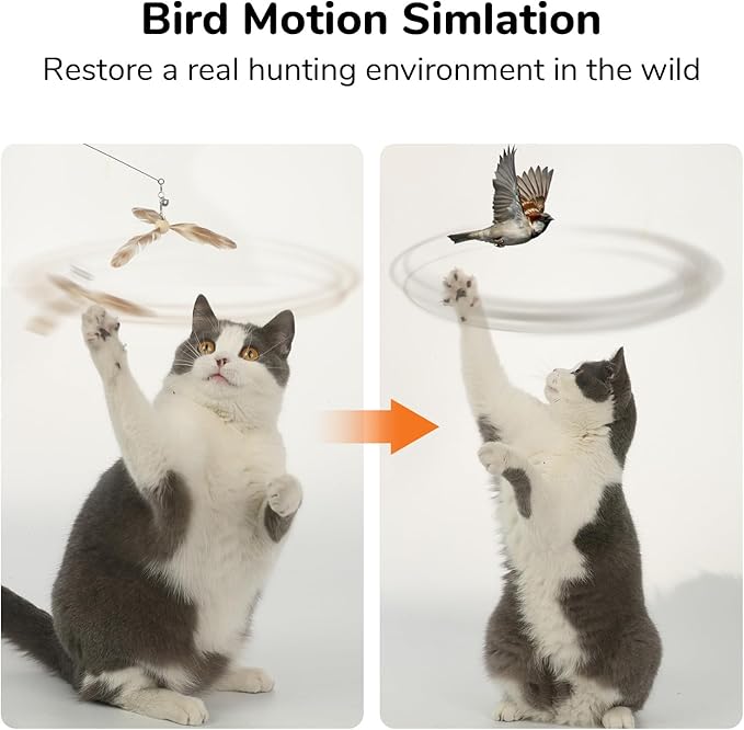 FUKUMARU Cat Wand Toy Natural Feather, Cat Toy Feather Replacement (3 PCS Feather Replacement)