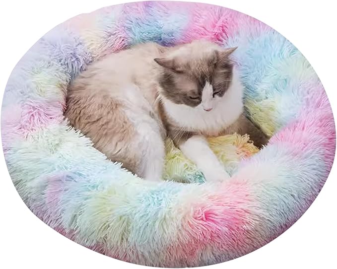 Soft PP Cotton Filling for Warmth and Comfort, Perfect for Small Dogs and Cats, Indoor Love Life Bliss(Colorful)