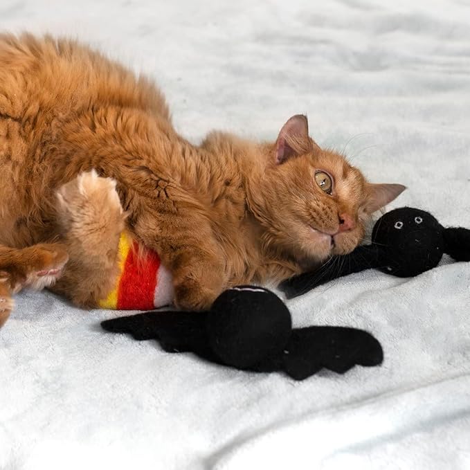 Midlee Halloween Felt Cat Toys Set- Bat, Pumpkin, Spider, Candy Corn