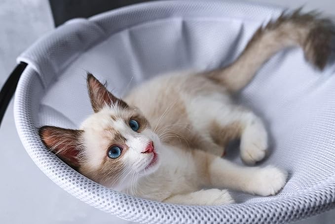 MeowWoof Cat Hammock Bed, Elevated Cat Stand Bed, Washable Pet Sleep Bed Supplies for Kitten Puppy (Gray Orange)