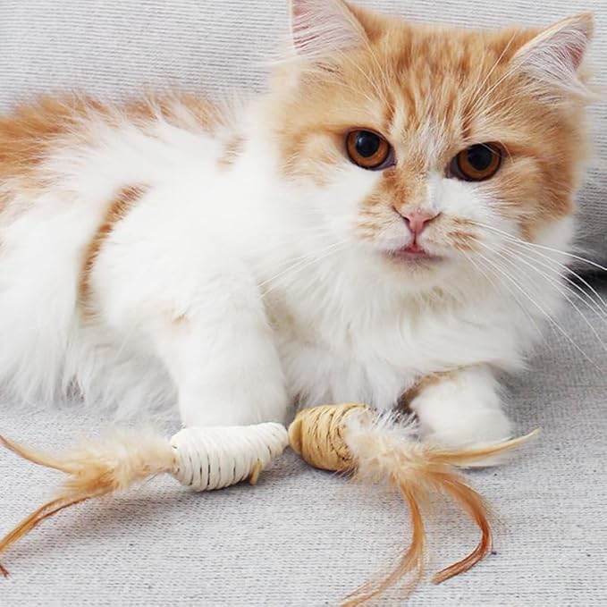 MEETCARE Cat Toy Interactive Toy Mouse Shaped Toy - (3 Pack),Small Breeds (Cat Scratch Paper)