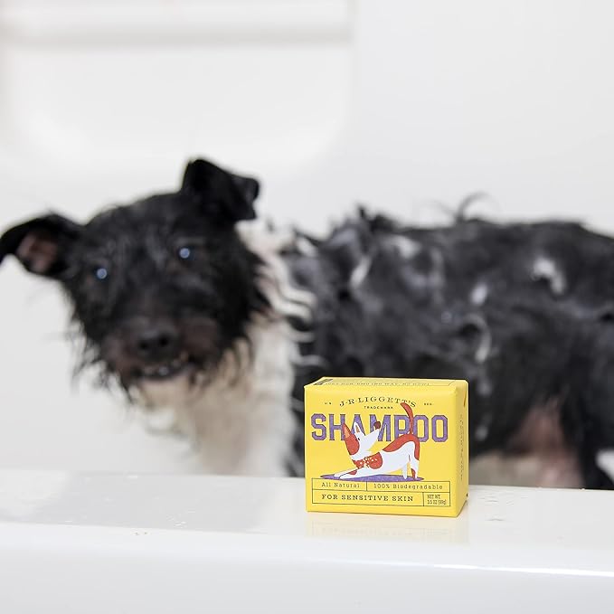 J·R·LIGGETT'S Dog Dry Shampoo Great for Dry and Sensitive Skin, Dog Anti Itch Hypoallergenic Formula | 100% Detergent-Free, Fresh and Clean Dog Shampoo, 100% Ecologically Correct, Non-GMO, 3.5 oz.