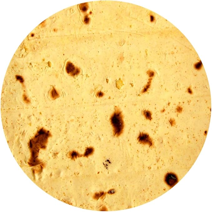 Burrito Tortilla Throw Blanket, 2.0 Double Sided Burritos Taco Tortilla Wrap Blankets for Adults Kids, Giant Funny Realistic Food Blankets, Soft Flannel Round Throw Blanket 60in