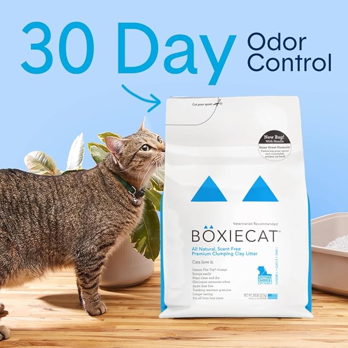 Boxie® Unscented 30 Day Natural Odor Control Cat Litter, 16lb Clumping Clay Kitty Litter