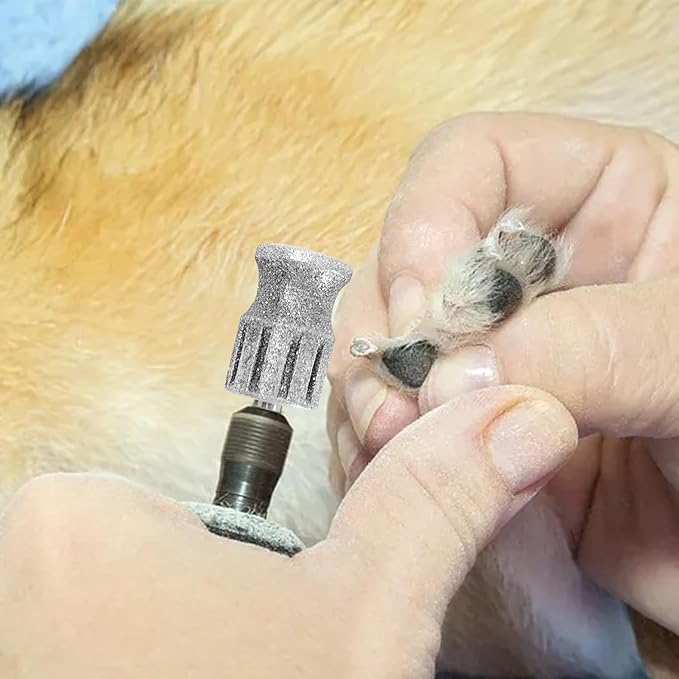 Diamond Nail Grinder for Dremel, Diamond Bits for Dogs, Dog Nail Grinder as Dremel Accessories, Dog Toenail Grinder for Animals Nail Care & Home Grinder Tools, FlahsC
