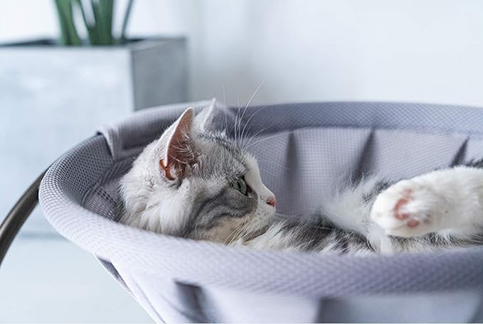 MeowWoof Cat Hammock Bed, Elevated Cat Stand Bed, Washable Pet Sleep Bed Supplies for Kitten Puppy (Gray Orange)