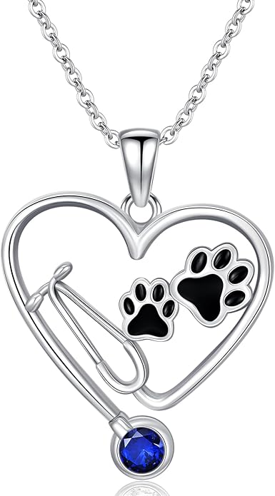 Birthstone Veterinary Stethoscope Necklace 925 Sterling Silver Nurse Vet Pendant with Dog Paw Nurse Jewelry Gifts for Veterinarian Nurse Women Veterinarian Gifts