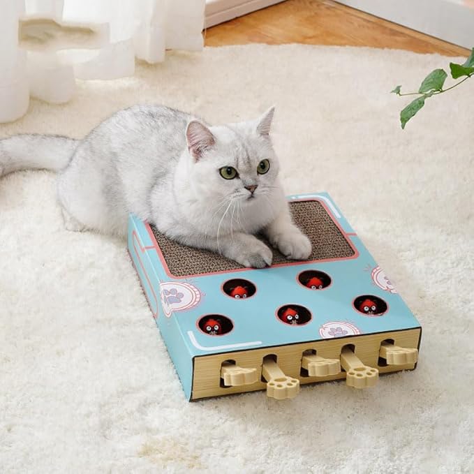 Cat Enrichment Toys for Indoor Cats, Whack a Mole Game Cat Puzzle Toy, Safe Fun Box Paws Scratcher, Interactive Box Catch Mice Game Cat Puzzle Toy for All Ages Exercise Puzzle Relieve Boredom(Blue)