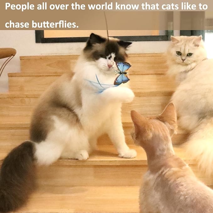 Cat Wand Toy, Interactive Cat Toys with 2 Poles & 9 Attachments Worm Feathers, Cat Feather Toy for Kitten Cat for Indoor Cats