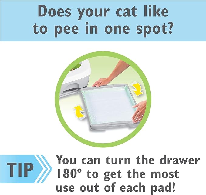 Aurora Pet Bundle (2) Tidy Cat Spring Clean Cat Pads Refill Pack (2x10 Count) with AuroraPet Catnip Toy (Assorted)