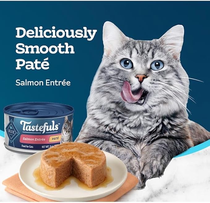Blue Buffalo Blue Tastefuls Salmon Entree Pate Wet Cat Food, 3 Ounce (Pack of 1)