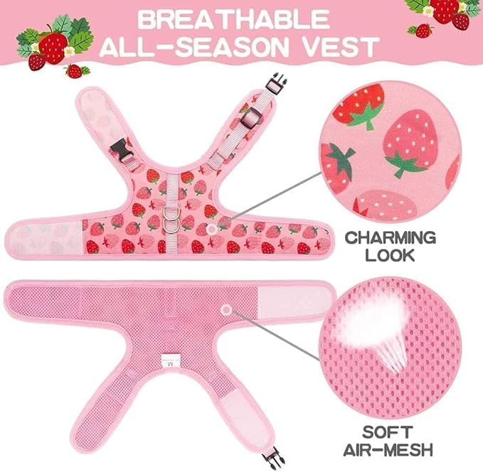 BINGPET Cat Harness with Leash Escape Proof - Fashionable Mesh Cat Dog Walking Harness Leads, Adjustable for Kitties Puppies Small Animals