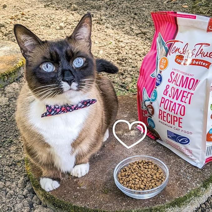 Tender & True Salmon & Sweet Potato Recipe Cat Food, 7lb