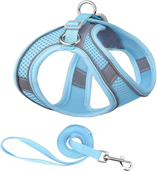 Cat and Small-Medium Dog Harness, No-Pull Pet Vest with Leash for Walking, Puppy Harness Set, Step-in Dog Harness for Small Breeds, Adjustable Mesh Harness