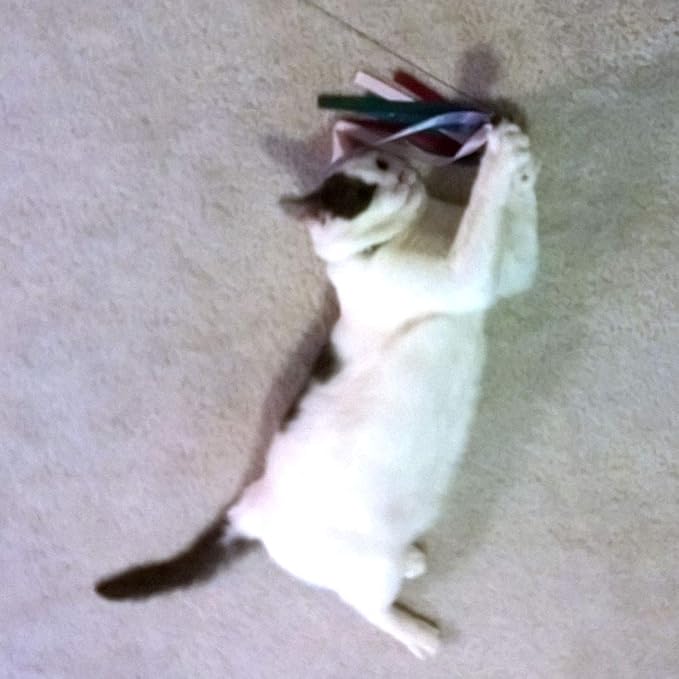 Ribbon, Leather and Fur Attachment Cat Toys - Fit Wildcat and Popular Bird and Catcher Type Wands/Poles (Ribbons)