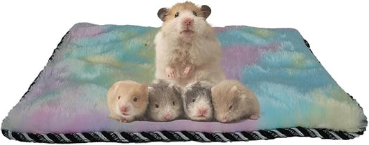 Self Warming Cat Bed, Super Soft Thermal Dog Crate Bed Mat for Sleeping, Washable Anti-Slip Self Heating Pet Kennel Pad for Small Medium Cats Dogs Indoor Outdoor (Color, M)