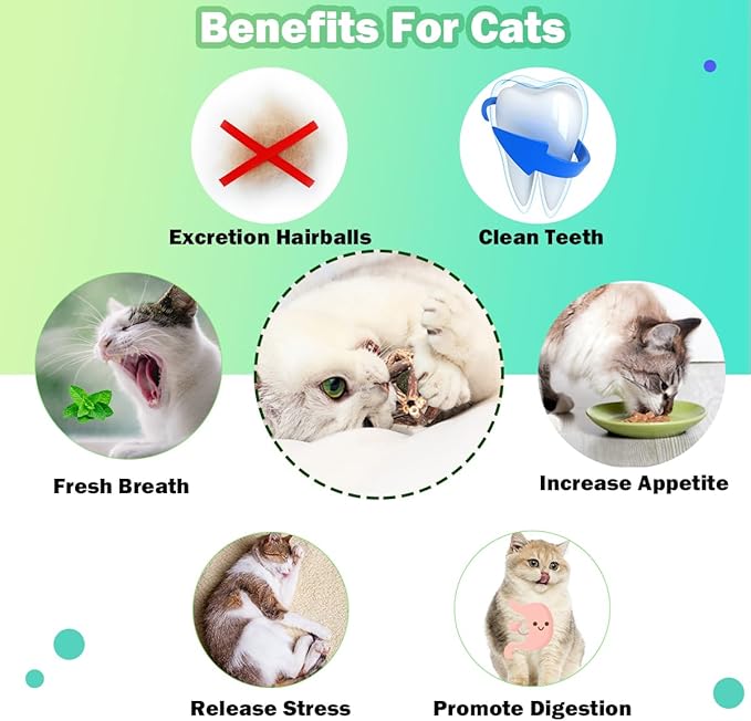 Cat Toys, 4 Packs Catnip Ball Toys, Nature Silvervine Stick Cage Cat Bell Balls, Catnip Toys for Cleaning Teeth, Relaxing Cats, for All Breeds