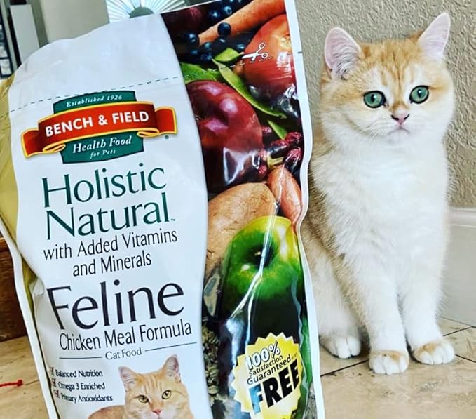 Bench & Field Holistic Natural Premium Adult Dry Cat Food, Chicken Meal and Brown Rice Recipe 3 lb Bags (Pack of 3)