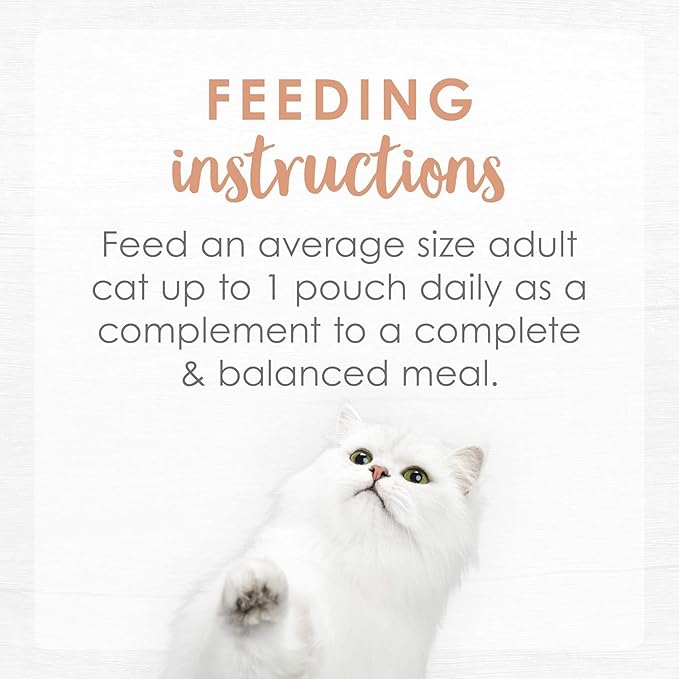 Aurora Pet Variety Pack (14 Flavor) FF Lickable Broth Topper Complement Wet Cat Food (1.4-oz Each) with AuroraPet Wipes