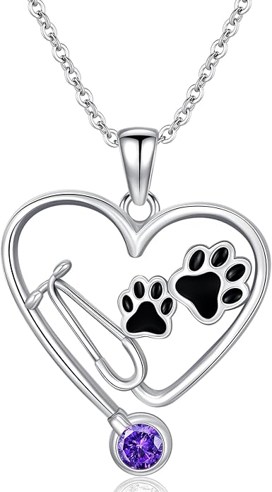 Birthstone Veterinary Stethoscope Necklace 925 Sterling Silver Nurse Vet Pendant with Dog Paw Nurse Jewelry Gifts for Veterinarian Nurse Women Veterinarian Gifts