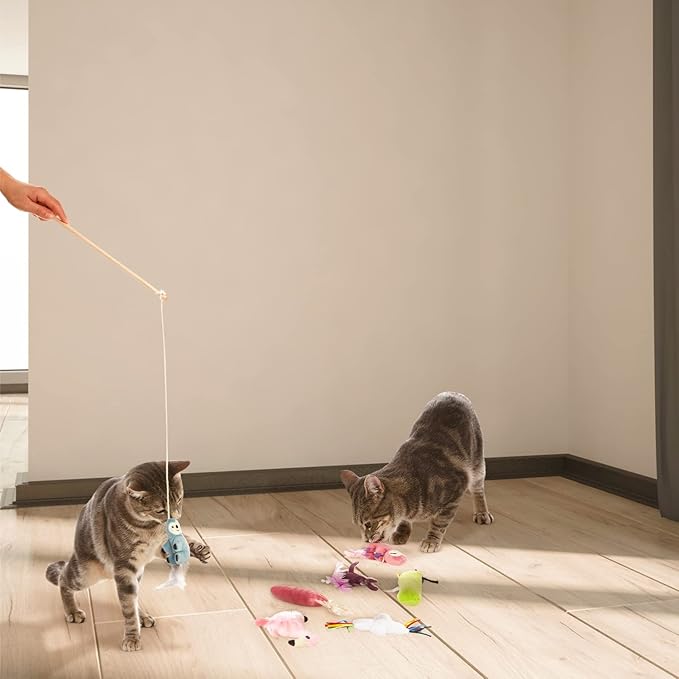 kensie Interactive Sloth/Flamingo/Sloth/Knot, for Indoor Cats Kitten Play Chase Exercise, Kitten Fun Mental Physical Exercise Puzzle Eliminates Boredom, 7 Pcs Cat Teaser Toy Set