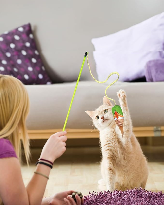 Interactive Cat Toys Donald Trump Cat Toy, Trump Doll Feather Cat Wand Toy, Catnip Toys, Cat Teaser Wand String, Cat Fishing Pole Toy,Kitten Play Exercise Toys,Halloween