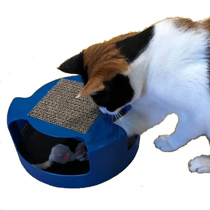 Catch The Mouse Interactive Chase Toy with Scratch Pad