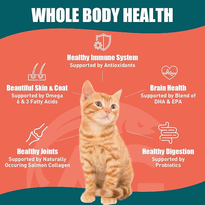 SUPER3+ All-Salmon Freeze-Dried Raw Dry Cat Food, Fortified with Omega Fish Oil, High-Protein, Grain-Free, Allergy & Digestive Support, All-Natural, for Kittens & Adults, 10 lbs