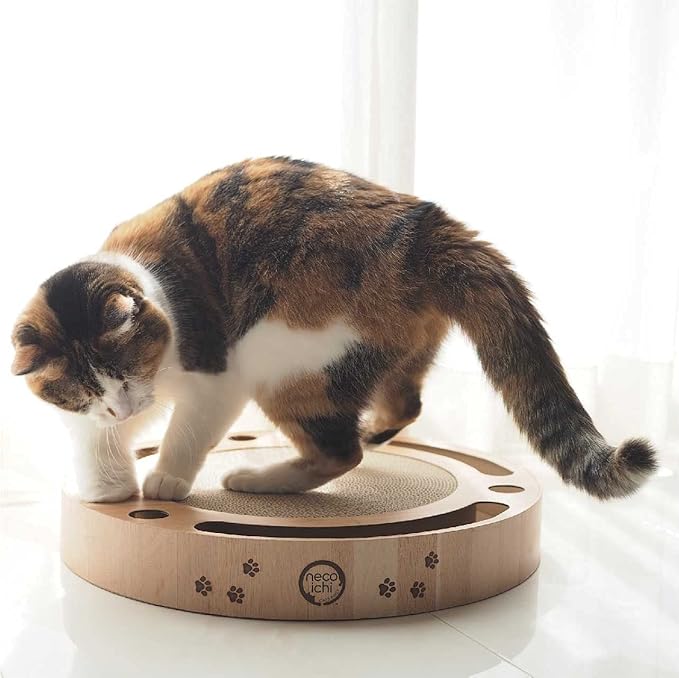 Interactive Track Ball Cat Scratcher