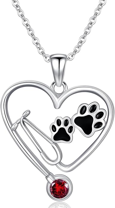 Birthstone Veterinary Stethoscope Necklace 925 Sterling Silver Nurse Vet Pendant with Dog Paw Nurse Jewelry Gifts for Veterinarian Nurse Women Veterinarian Gifts