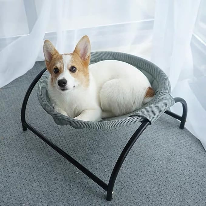 Fhiny Cat Hammock Bed, Removable & Washable Elevated Pet Hanging Nest Free-Standing Breathable Cooling Cot Sofa with Heavy Duty Iron Frames for Indoor Cats Kitten Puppy Sleeping