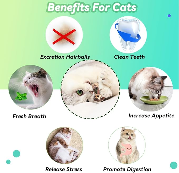 Cat Catnip Toys 3 Packs Catnip Ball Toys, Nature Silvervine Stick Cage Cat Bell Balls, Catnip Toys for Cleaning Teeth, Relaxing Cats, Cat Toys for All Breeds