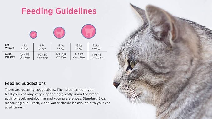 Blackwood Pet Cat Food Made In USA [Super Premium Dry Cat Food For Adult, Indoor, and Senior Cats], Chicken Meal and Brown Rice Recipe