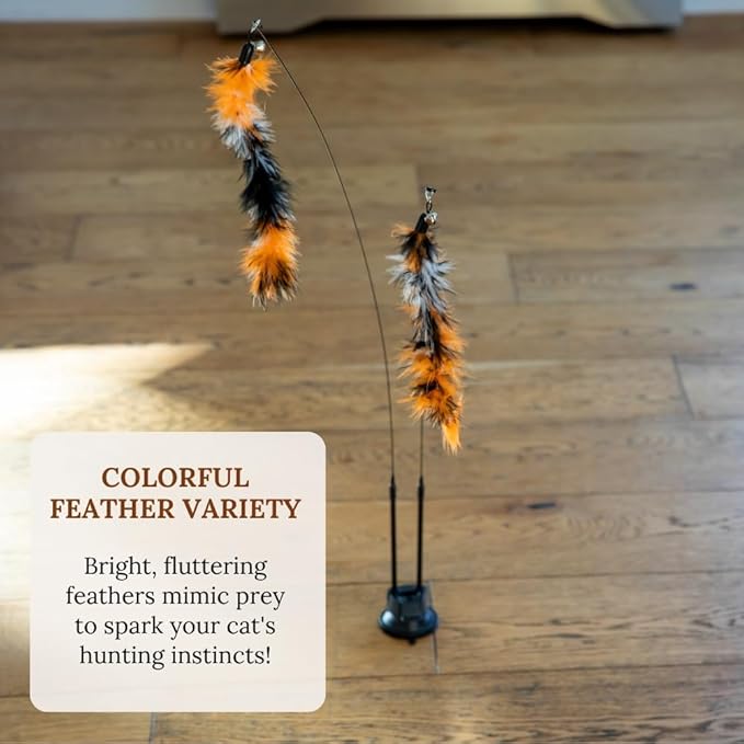 Cat Toy Set Cat Toy Bundle Snake Lizard Catnip Cat Nip Chew Toy Cat Self Play Toys For Cats To Play Alone Cat Wand Attachment Toys Interactive Cat Toys Suction Cup Cat Toy Feather Wand Suction Cup