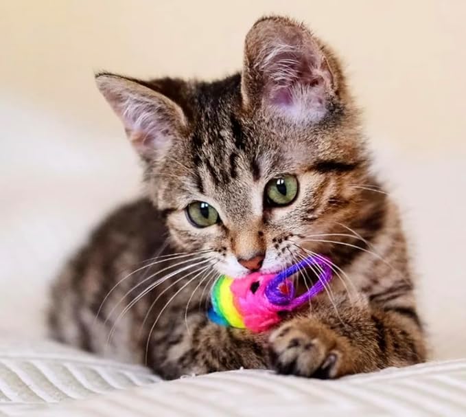 Lil' Shakes for Cats Variety Pack Marv & Milo's Bonito Fish Flakes & Catnip Mouse with 3 Each 1.55oz Pouches of Salmon, Tuna, Chicken, Turkey Flavors