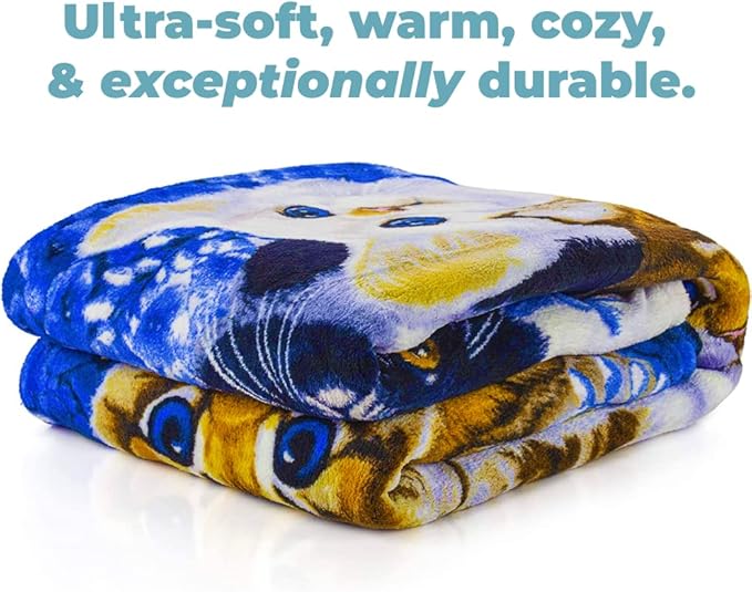 Dawhud Direct Collage Kitten Fleece Blanket for Bed, 50" x 60" Cute Fleece Throw Blanket for Girls, Women, Men and Kids - Super Soft Plush Cat Blanket Throw