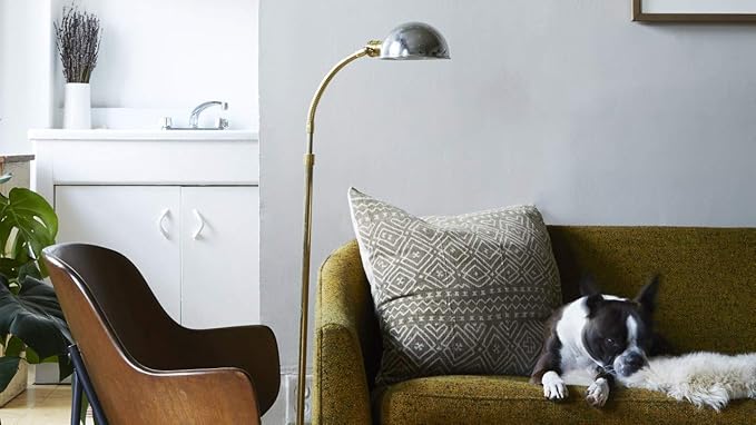 Capture Pet Stain & Odor Neutralizer - Pet Stain Remover for Carpet, Wood, Leather, Rug, Bed, Couch, Car, Upholstery, Clothes, Curtains, Wall, Floor, Concrete - 32oz Portable Spray Bottle (2 Pack)