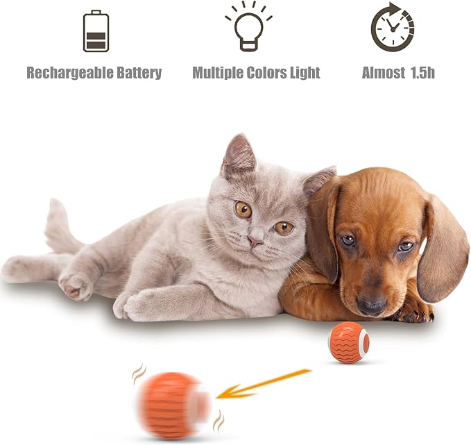 Interactive Cat Toys for Indoor Cats Exercise, 2023 Upgrated Fun Kitty Kitten Kicker Toys…