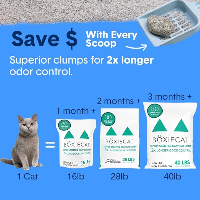 Boxie® Gently Scented 30 Day Natural Odor Control Cat Litter, 16lb Clumping Clay Kitty Litter
