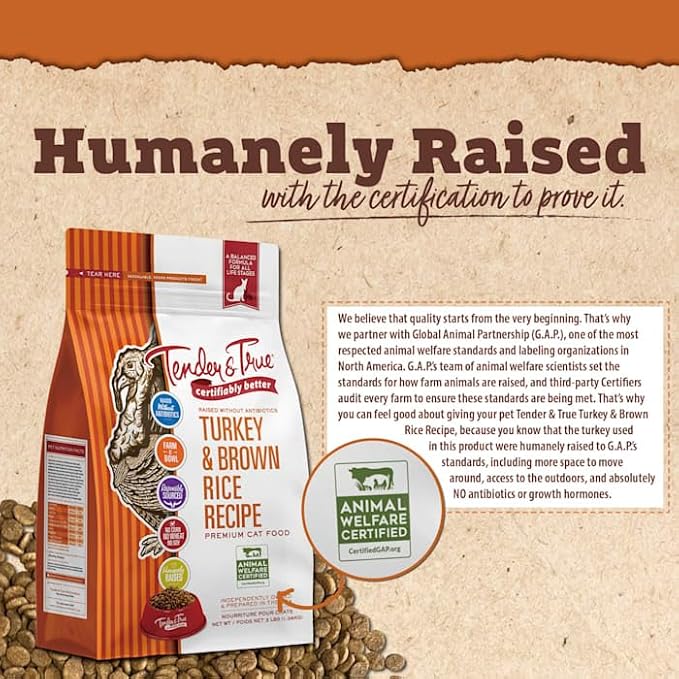 Tender & True Antibiotic-Free Turkey & Brown Rice Recipe Cat Food, 3 Pound(Pack of 1)