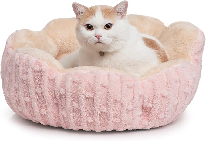Hollypet Calming Cat Beds for Indoor Cats - Cute Cactus Pet Beds, Fluffy Puppy Bed, Non-Slip Extra Small Dog Bed, Pink