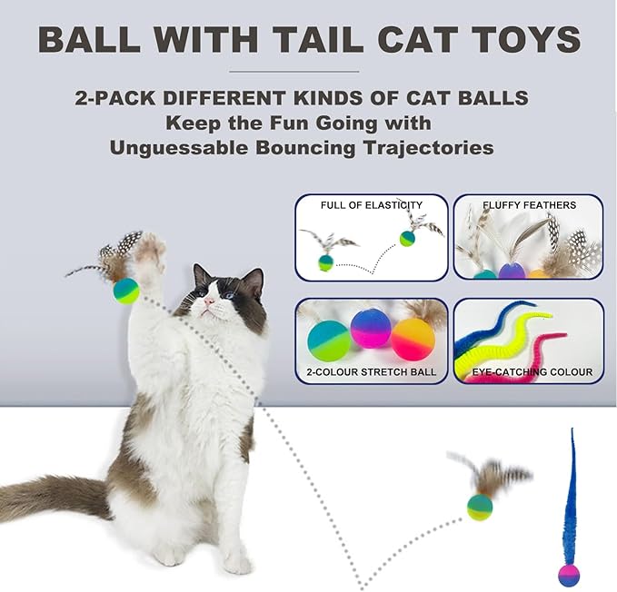 Interactive Cat Toys for Indoor Cats,4PCS Retractable Cat Feather Toy, 2PCS Silvervine Sticks Catnip Toys for Teeth Cleaning,2PCS Bouncy Ball Cat Toy w/Tail,Kitten Toys for Chasing Exercise