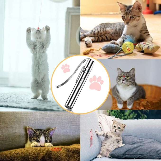Laser Pointer Cat Toys with Torch and Money DetectorBuilt-inBattery USB Charging 7 Modes to Choose from for Teasing and Interacting with Your Pet